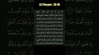 Q.s Maryam 30-38 #mashallah #islam #maryam #islamic #loveyourself #love