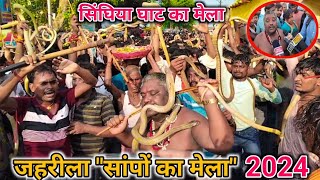 नाग पंचमी के दिन लगा सांपों का मेला सिंघिया घाट || Snake Fair 2024 ||सिंघिया घाट का मेला