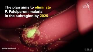 The Rise of  "Super Malaria" | The ASEAN Post