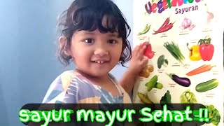 mengenalkan aneka sayur mayur media gambar