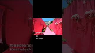 #dominicanrepublictravel #vacation #travel #cruise #cruiseship #destination #pinkstreet#pink