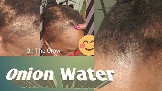 ONION WATER APPLICATION - "LAZY DAY" TECHNIQUE