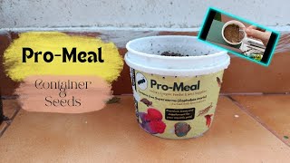 Pro-Meal Container and Seeds