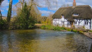 WOW! How big are the fish in this river? + Cookup