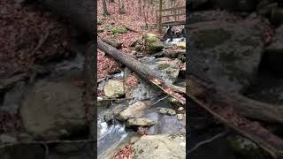 Mossy Bluff trail cascade