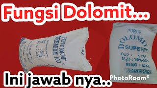 Ini lah manfaat pupuk dolomit untuk kelapa sawit..