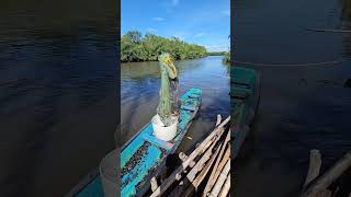 Nianque me Critiken #videos #pesca