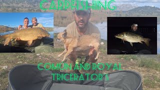 carpfishing sesión tricerator's común y royal #fishing#carpa#capturaysuelta#nature#montañaylibertad