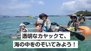 【沖縄・スケルトンカヤック】透明なカヤックで、海の中をのぞいてみよう！スケルトンカヤック体験