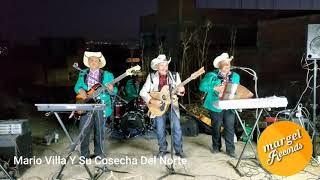 Tema:El Piloto !Mario Villa Y Su Cosecha Ft. Chano De Los Rancheritos Del Sur!Nocupetaro,Oaxaca