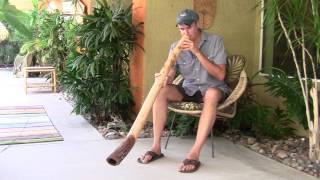 "West of the Sun" Eucalyptus Didgeridoo by Derwood Yumundi