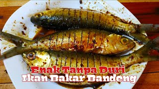 Resep Ikan Bandeng Bakar Buat Seperti Ini Pasti Enak Tanpa Duri