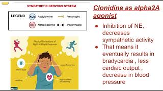 Clonidine pharmacology mbbs