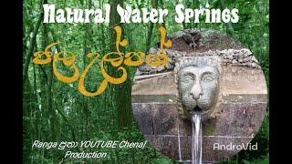 Natural Water Springs ( ජල උල්පත් )