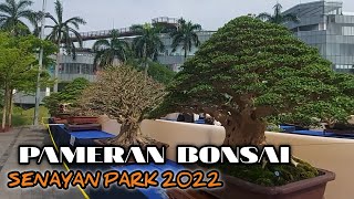 Pameran Bonsai 2022 di Spark senayan park