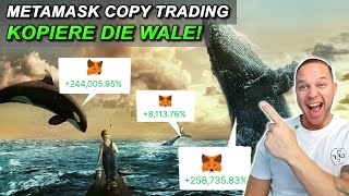 +244.000% Profit! Vollautomatisches Copy Trading von großen Wal Wallets! (GRATIS)