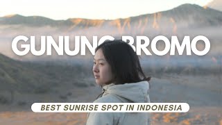 Gunung Bromo: Info Lengkap (Tour, Kendaraan, Waktu)