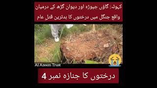 Timber Mafia in Kahuta, Rawalpindi کہوٹہ کے جنگلات کی تباہی اور محکمہ جنگلات کی نااہلی