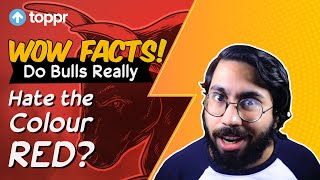 Do Bulls Really Hate The Colour Red? | Toppr Wow Facts