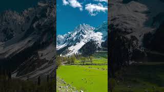 Beauty of Kashmir