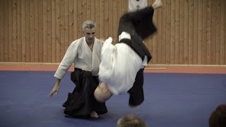 Aikido: Bruno Gonzalez - Working on Ushiro Eri Dori