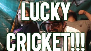 (NEW ALBUM) LUCKY CRICKET! JUNE 30th