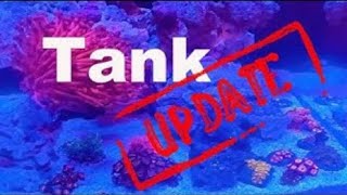 RedSea 200 G2 Update  | Reef Tank