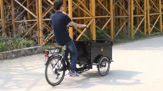 ZZMERCK M-ECB01 Electric Cargo Bike