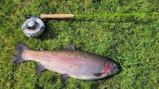 Fly fishing Rockbourne Trout Fishery with my Sunray California Glass Fly Rod 8" 4 weight.