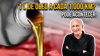 Óleo de motor demais para km de menos  - qual o consumo ideal?