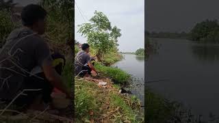 Mancing di spot Sarang Mujair Bekasi #shorts