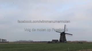 Wimmenumermolen malend - 29 januari '17