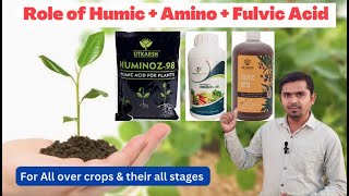 The Importance of Humic Acid, Amino Acid and Fulvic Acid in Crop Growth and Yield | #aasankheti