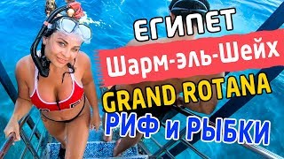 Grand Rotana Resort & Spa Египет 2019 - Underwater - Риф и рыбки с маской