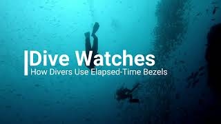 How Divers Use Their Dive Watches