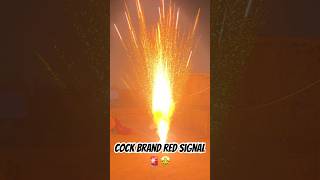 COCK BRAND RED SIGNAL TESTING 😍#crackers #fireworks #crackerstesting #firecrackers #diwali #shorts