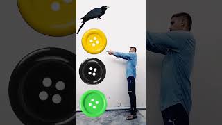 button to crow,, tota,, owl & pigeon - magical vfx video #tranding #vfxlavnish