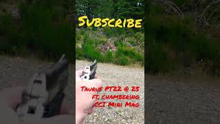 Taurus PT22 eats the CCI Mini Mags.🫵🏼🇺🇸🆒,#shorts,#short