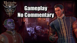 Baldur's Gate 3 - Gameplay No Commentary part 1 | Early Access Patch 5