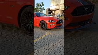 Ford Mustang GT500 | American Muscle Cars | Mustang GT 500 Exhaust Sound | Modified Sports Cars