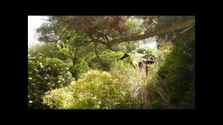 Japanese Style Garden 日本庭園 At Newstead Abbey Nottinghamshire.