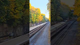 Amtrak's Lake Shore Limited #48 Looks Small Under These Tall Trees! Hudson Valley, NY