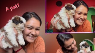 🥲My Mom reacts to Shih Tzu Dog🐶||😍