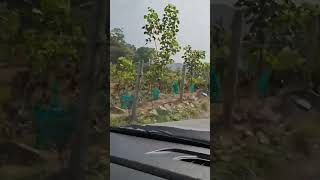 Coorg trip by road