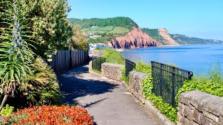 Stunning sub-tropical Connaught Gardens with 180 degree views of coastline of Sidmouth, Devon