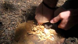 Fat Wood Chips Test