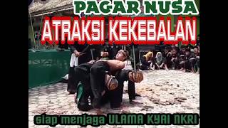 ATRAKSI KEKEBALAN _ PAGAR NUSA INDONESIA