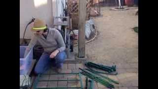 Back In the Garden...Winter Seedlings & Mini Greenhouse