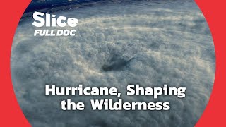 Hurricane : How Nature Copes with Storms - Part 2 | FULL DOCUMENTARY