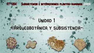 Unidad 1: Arqueobotánica y Subsistencia